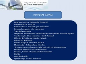 disciplinas eletivas