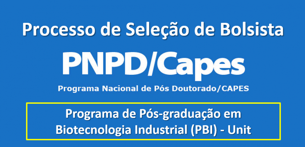 [:pt]Seleção para Bolsista PNPD/CAPES – Resultado[:]