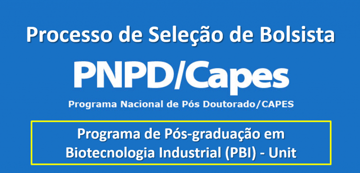 [:pt]Seleção para Bolsista PNPD/CAPES [:]