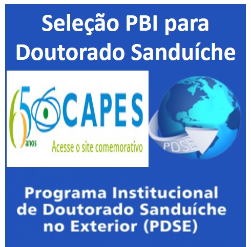 PBI lança Chamada Interna para Bolsa PDSE (CAPES)