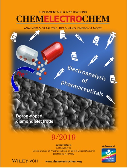 [:pt]Pesquisador do PEP publica artigo em prestigiada revista internacional[:]