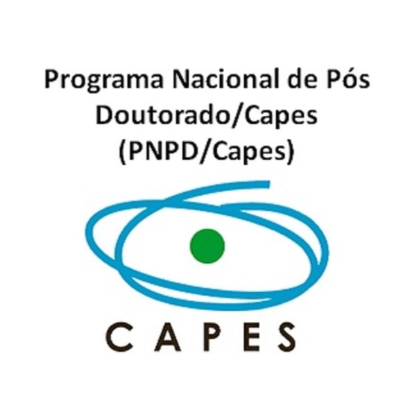 Resultado da Seleção de Bolsa PNPD/CAPES do Programa de Pós-Graduação em Engenharia de Processos (PEP)