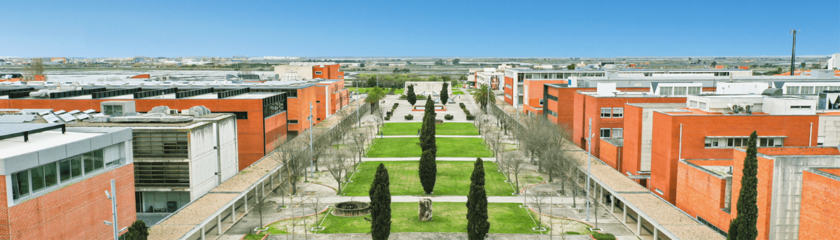 Docente do PPED conclui Estágio de Pós-Doutoramento na Universidade de Aveiro, Portugal