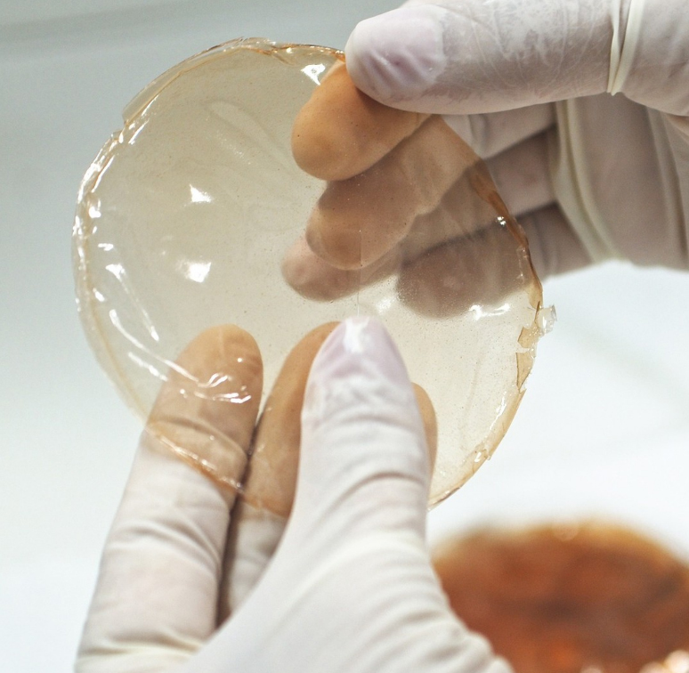 PSA/ITP desenvolvem material inovador para cicatrização de feridas a partir do Barbatimão